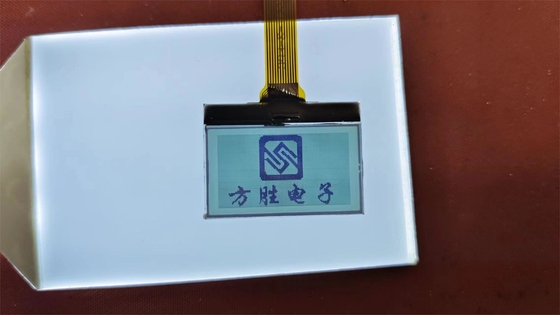 Pantalla LCD de alta calidad con dígitos positivos FSTN Pantalla de transmisión personalizada TN módulo de LCD para instrumentación