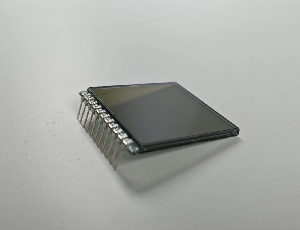 FSTN de dígitos positivos pantalla 6 O Reloj Transmisor de pantalla LCD personalizado TN módulo de LCD