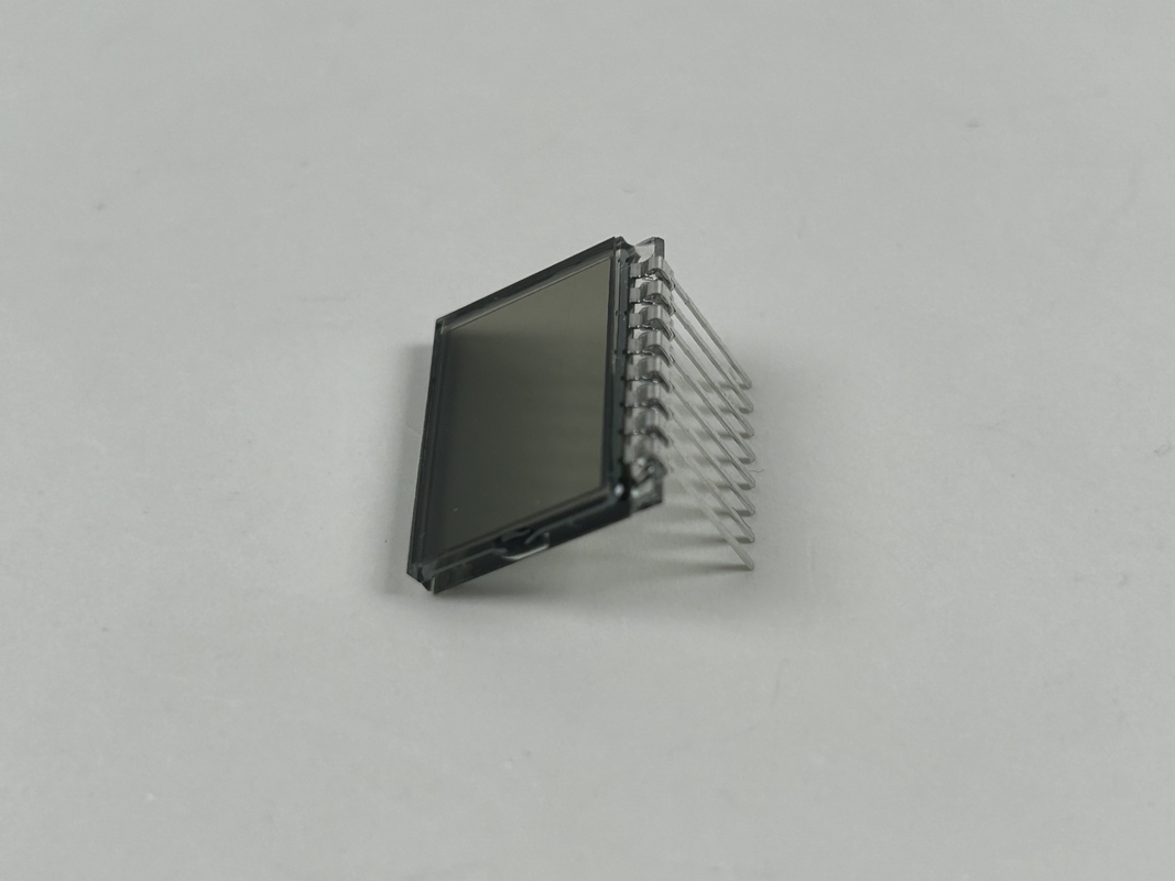 3.0 V Display LCD TN Prositivo Segmento de código de pantalla Collar de entrenamiento para perros personalizable