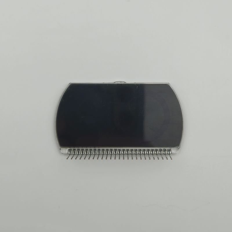 Pantalla LCD VA personalizada | 4 segmento Módulo LCD en blanco y negro para la fuente de alimentación