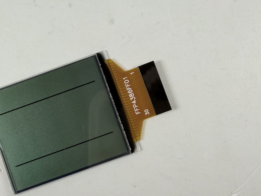 Pantalla LCD en blanco y negro FSTN personalizado | LCD de segmento monocromático para aplicaciones industriales y electrónicas