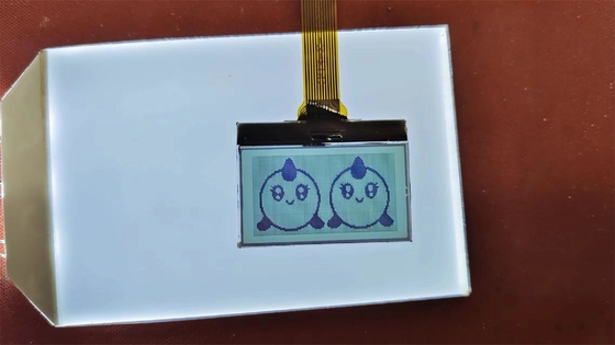 Pantalla LCD de alta calidad con dígitos positivos FSTN Pantalla de transmisión personalizada TN módulo de LCD para instrumentación