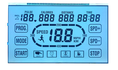 Segmento positivo del dígito 7 STN LCD de la exhibición transparente de las 6 para la máquina corriente